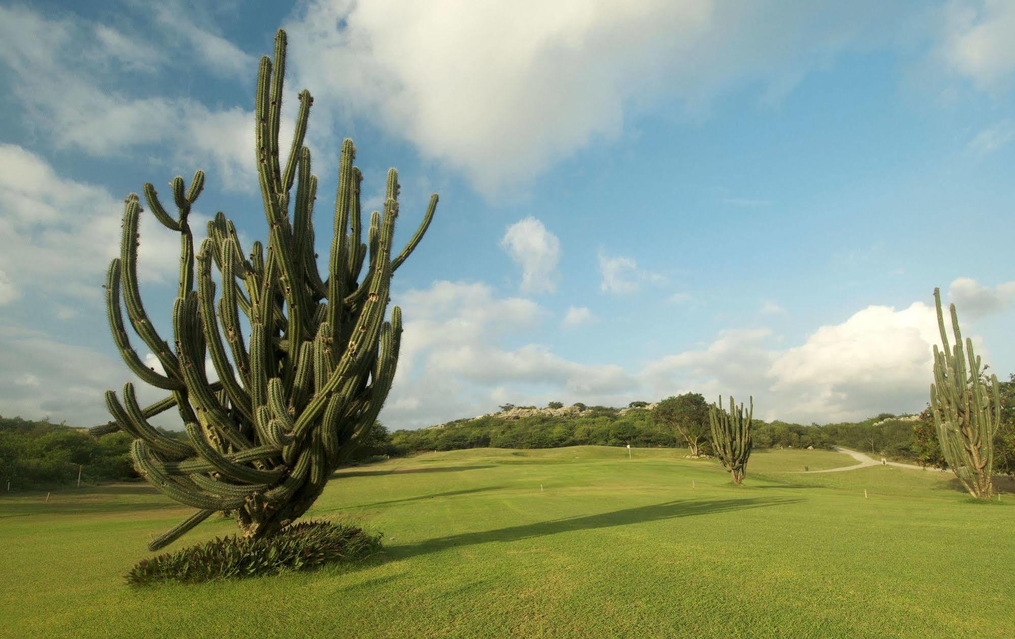 Bayside Boutique Hotel - Blue Bay Golf & Beach Resort Dorp Dorp Sint Michiel Esterno foto